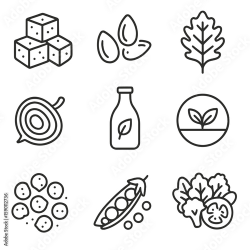 Vegan Salad Icons. Outline style icons of Vegan Salad: tofu cubes, pumpkin seeds, kale leaf, beetroot slice, plant-based dressing,