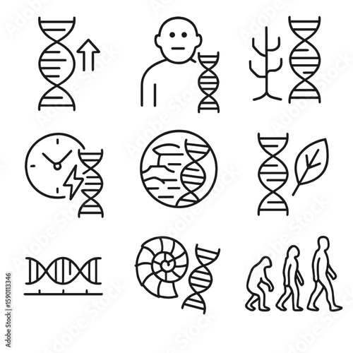 DNA Evolution Icons. Outline style icons of DNA Evolution: evolving strand, common ancestor icon, evolutionary tree with DNA, time