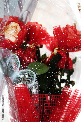 red christmas decoration