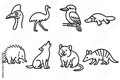 Australian animals line icon set. wildlife outline collection for conservation awareness