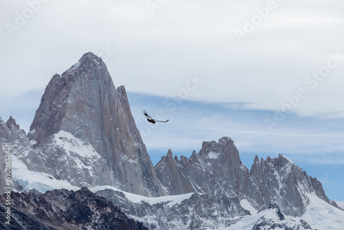 Canvas Print Snowy mountain peaks and birds (condors)