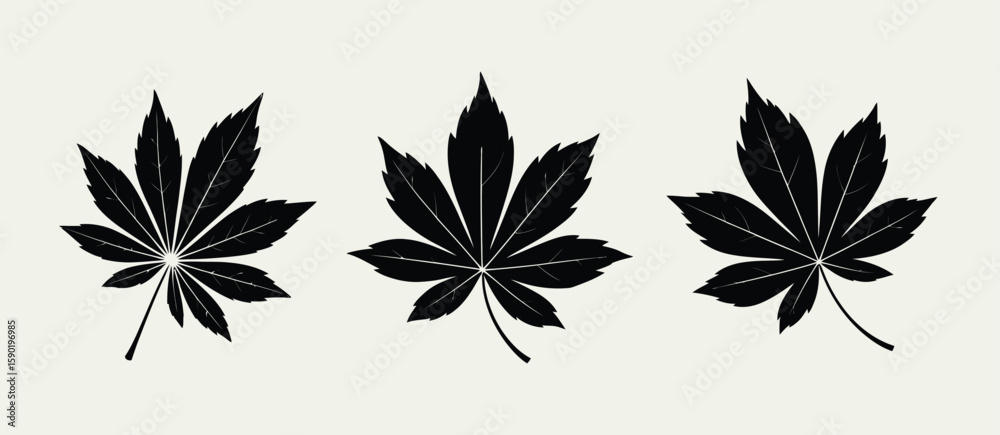 Obraz premium Three black silhouette cannabis leaves on a light neutral background