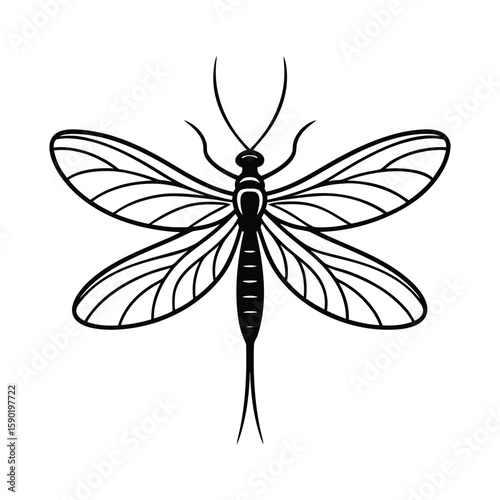 Mayfly Silhouette Vector Bundle