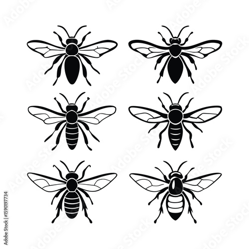 Hornet Silhouette Vector Bundle
