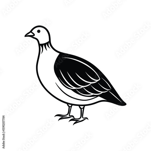 A partridge line art silhouette vector illustration on white background