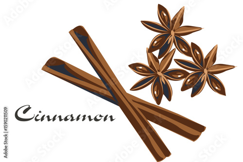 Cinnamon sticks and star anise spice isolated on white background.