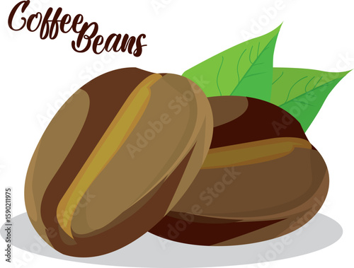 Two shiny fresh roasted coffee beans with leaves isolated on white background.
