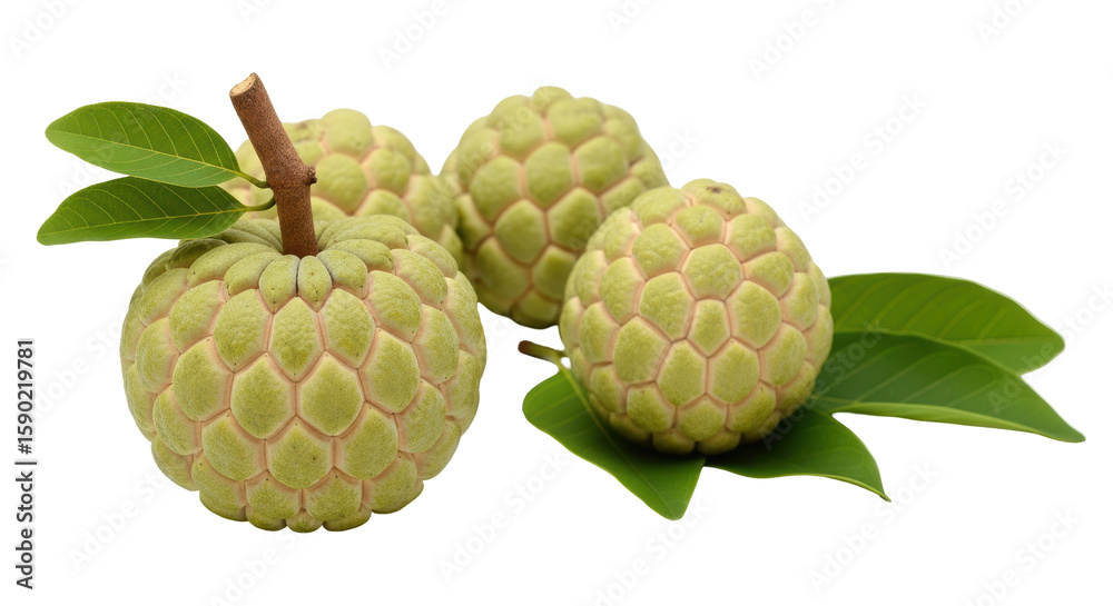 Fototapeta premium Isolated Custard Apples with Green Leaves