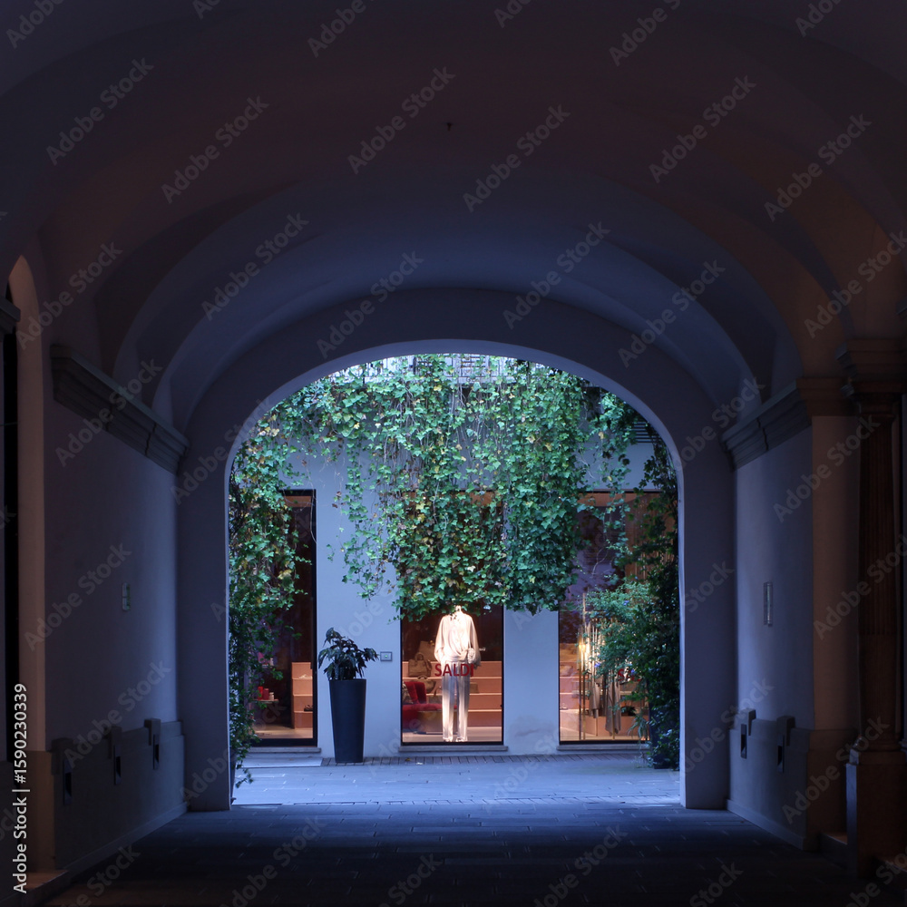 Fototapeta premium Galleria a mantova