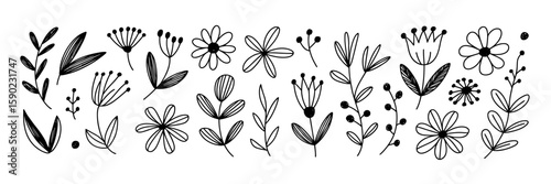Floral Illustrations: A collection of elegant floral illustrations in a minimal style, ideal for design projects.
