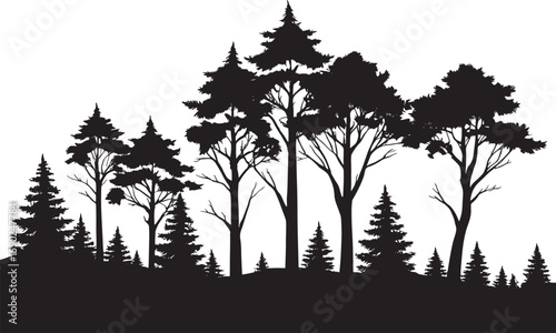 Black and white silhouette of a dense forest
A striking silhouette of various trees, likely pine and fir, creates a peaceful and natural scene.