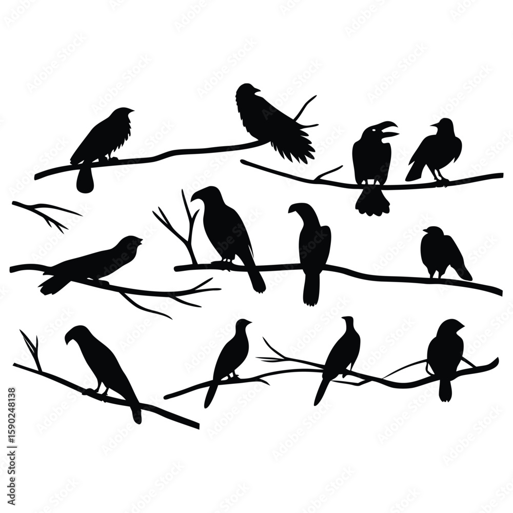 Fototapeta premium Silhouette of birds on branches vector illustration black and white design