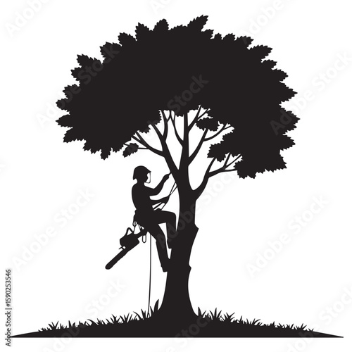 Silhouette of a skilled arborist wearing a helmet and harness climbing a large tree with a chainsaw preparing to prune branches in a grassy field