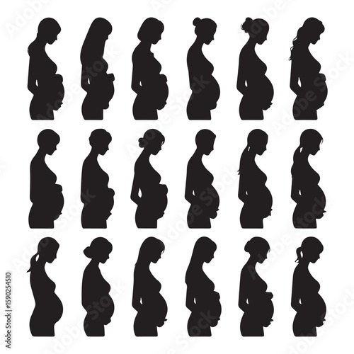 Collection of diverse black silhouette profiles of pregnant women showing different stages of pregnancy and hairstyles isolated on a white background symbolizing motherhood and anticipation