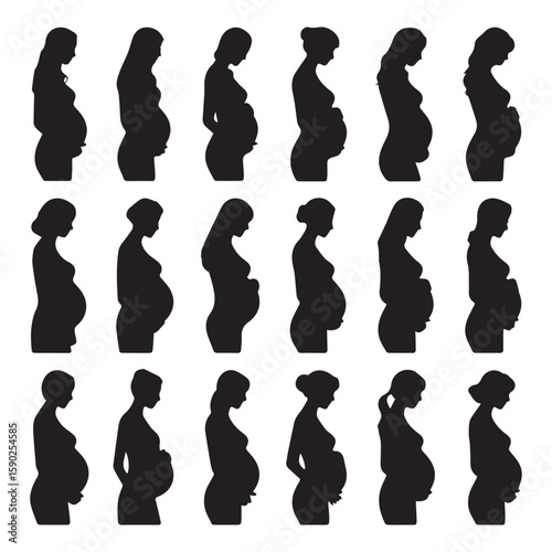 Collection of black silhouette profiles of pregnant women showing different stages of pregnancy and hairstyles isolated on a white background representing the journey of motherhood
