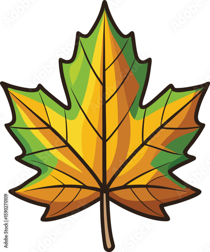 Colorful Autumn Foliage Illustrating the Beauty of a Single Maple Leaf 