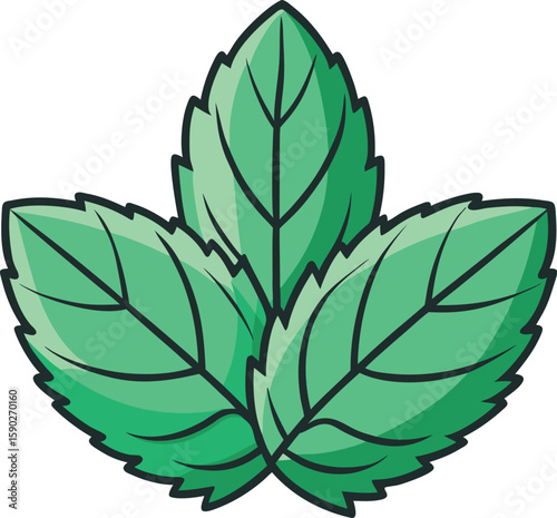 Fresh Mint Leaves Illustration A Vibrant Leaf Design for Herbal and Natural Themes