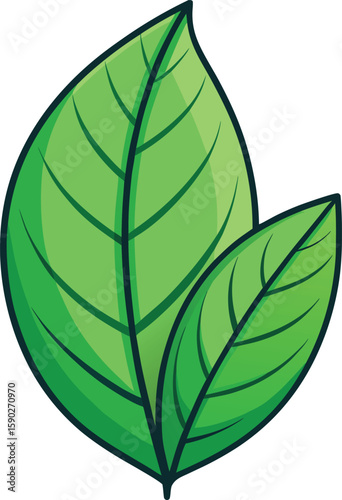 Two Green Leaves Graphic Natural Growth and Freshness concept