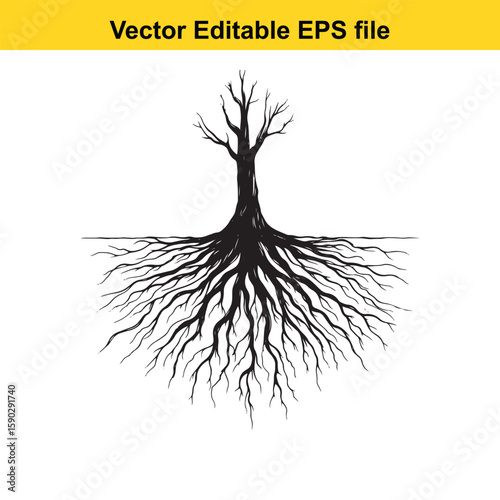 A detailed black silhouette of tree roots spreading outwards on a white background.