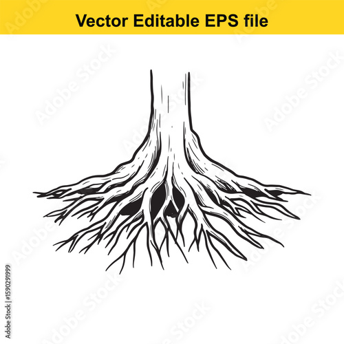 A detailed black silhouette of tree roots spreading outwards on a white background.
