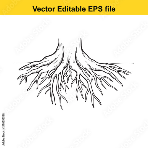 A detailed black silhouette of tree roots spreading outwards on a white background.