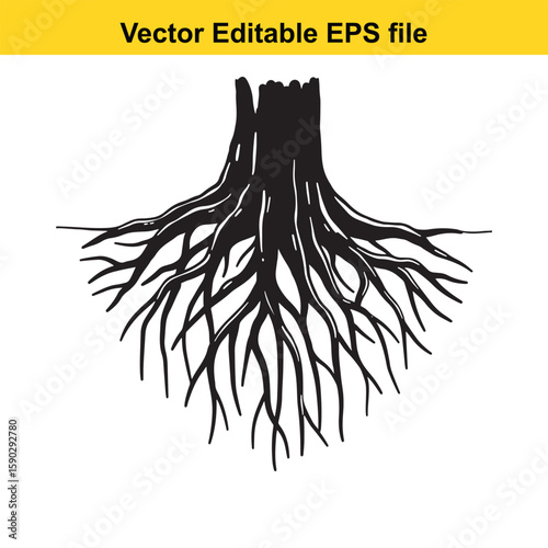 A detailed black silhouette of tree roots spreading outwards on a white background.