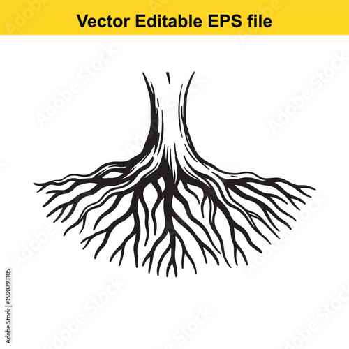 A detailed black silhouette of tree roots spreading outwards on a white background.