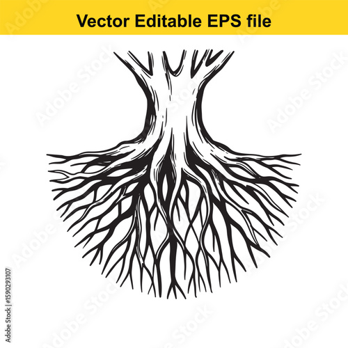 A detailed black silhouette of tree roots spreading outwards on a white background.