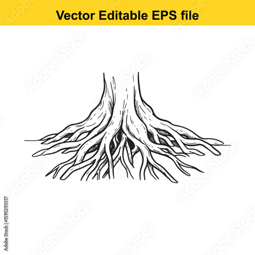 A detailed black silhouette of tree roots spreading outwards on a white background.