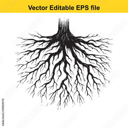 A detailed black silhouette of tree roots spreading outwards on a white background.