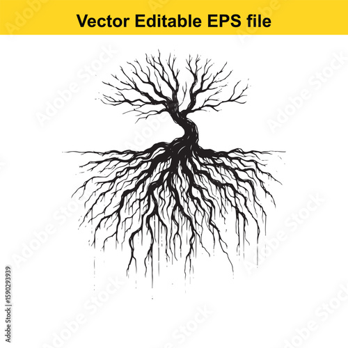 A detailed black silhouette of tree roots spreading outwards on a white background.