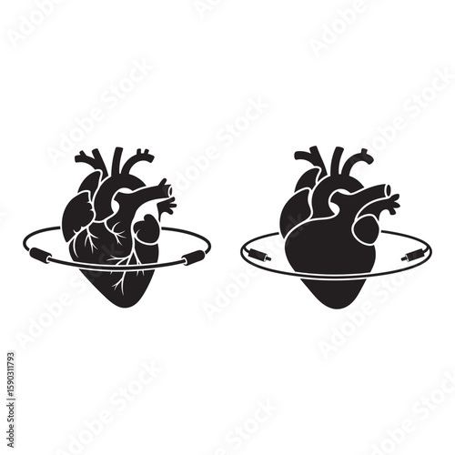 Anatomical heart with circular cable human heart circulatory system