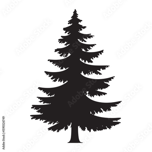 Tall black pine tree silhouette with textured branches evergreen white background