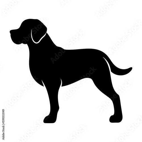 Silhouette dog