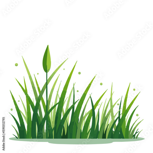Vector illustration of grass with dew, fresh morning on white background