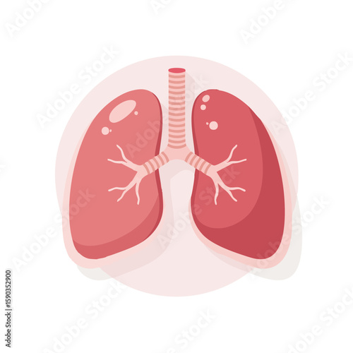 Lungs Illustration in Flat Design Style with Pink and White Colors Representing Human Anatomy