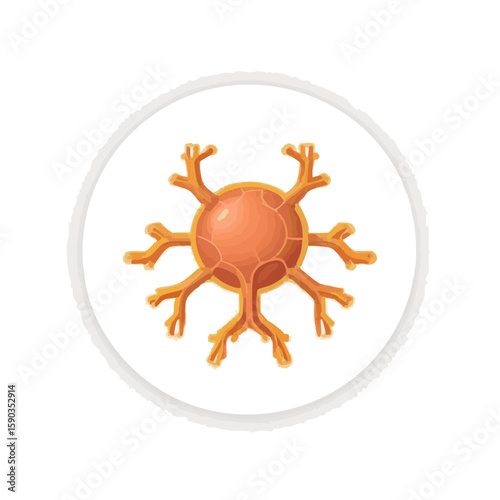 Vector illustration of lymph node icon medical simple on white background, healthcare symbol
