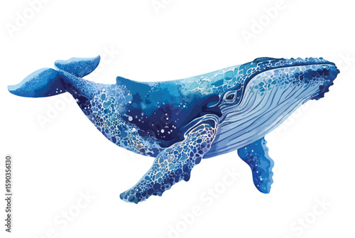 Blue whale is swimming in the ocean