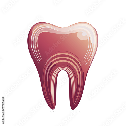 Stylized molar illustration showing dental anatomy, oral health, and hygiene concepts
