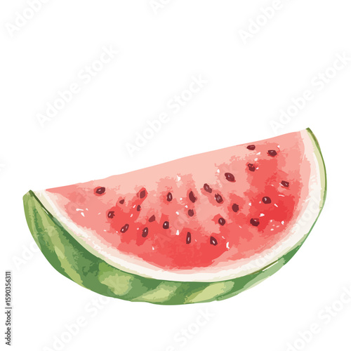 Watermelon slice with seeds. The slice is cut in half.