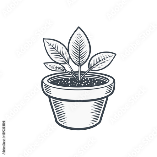 Stylized vector illustration of a plant in a pot with lined design elements representing nature and growth in monochrome.