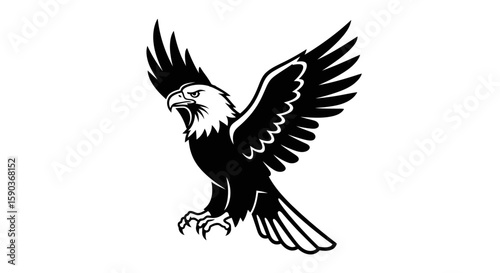 Vector black and white eagle vector illustration, soaring eagle drawing, american bald eagle clip art, bird of prey art