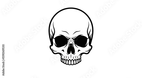 Vector skull vector illustration for halloween and day of the dead with black and white skull drawing art