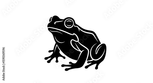 Vector black frog illustration vector image amphibian graphic design nature wildlife animal clipart silhouette drawing
