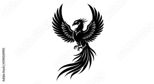 Vector phoenix bird rising tattoo design vector illustration mythical firebird rebirth symbol winged creature art drawing