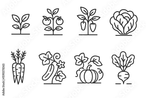 Gardening, vegetables line icon set. plant, leaf, harvest outline style collection
