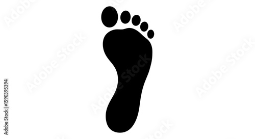 Vector footprint vector image for anatomy and podiatry design projects, human foot print illustration art design