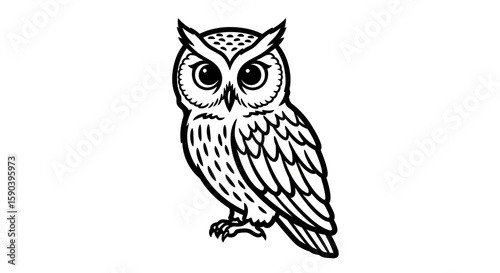 Vector detailed owl illustration nocturnal bird of prey vector graphic wildlife animal outline drawing design icon art