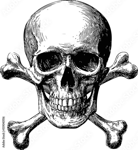 Detailed black and white skull illustration with crossbones, symbolizing danger. Vector illustration