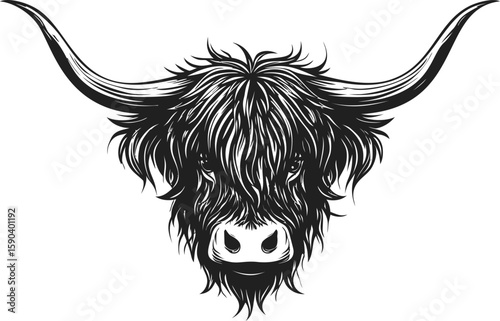 Highland cow head with long horns in detailed black and white illustration. Vector illustration
